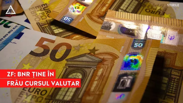 Analiza: De ce nu creste cursul valutar