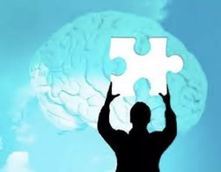 Blogul top-psy.ro va pune la dispozitie informatii practice care tin de sanatatea mintala 