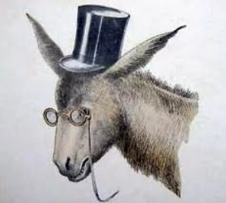 CCR da o lovitura de copita Noii Constitutii