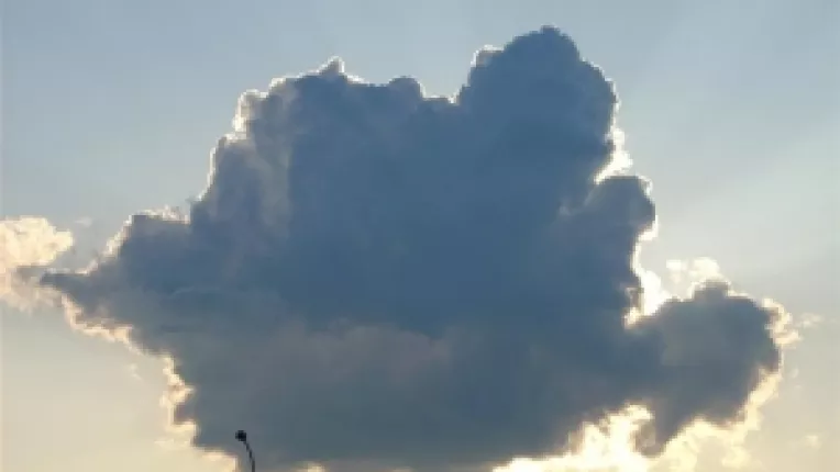 Directie gresita: Guvernul Boc impinge Romania in abis