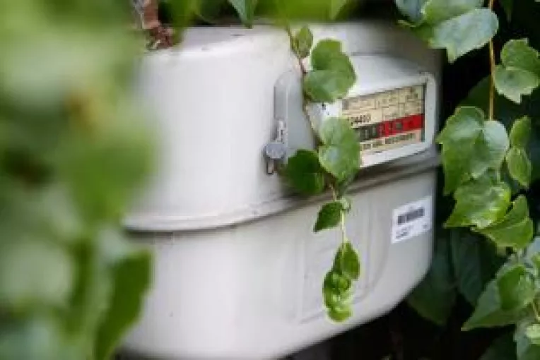 Gazele se achita la firme de cartier