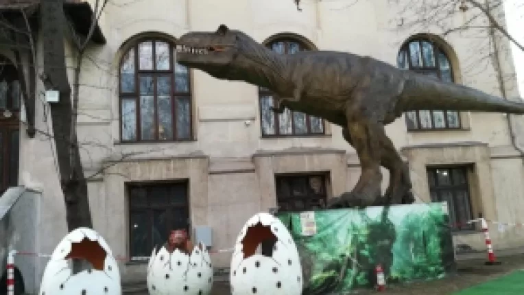 Liz Marinova: Vom mai aduce 20 de specii de dinozauri la expozitia Dino Park Bucuresti!