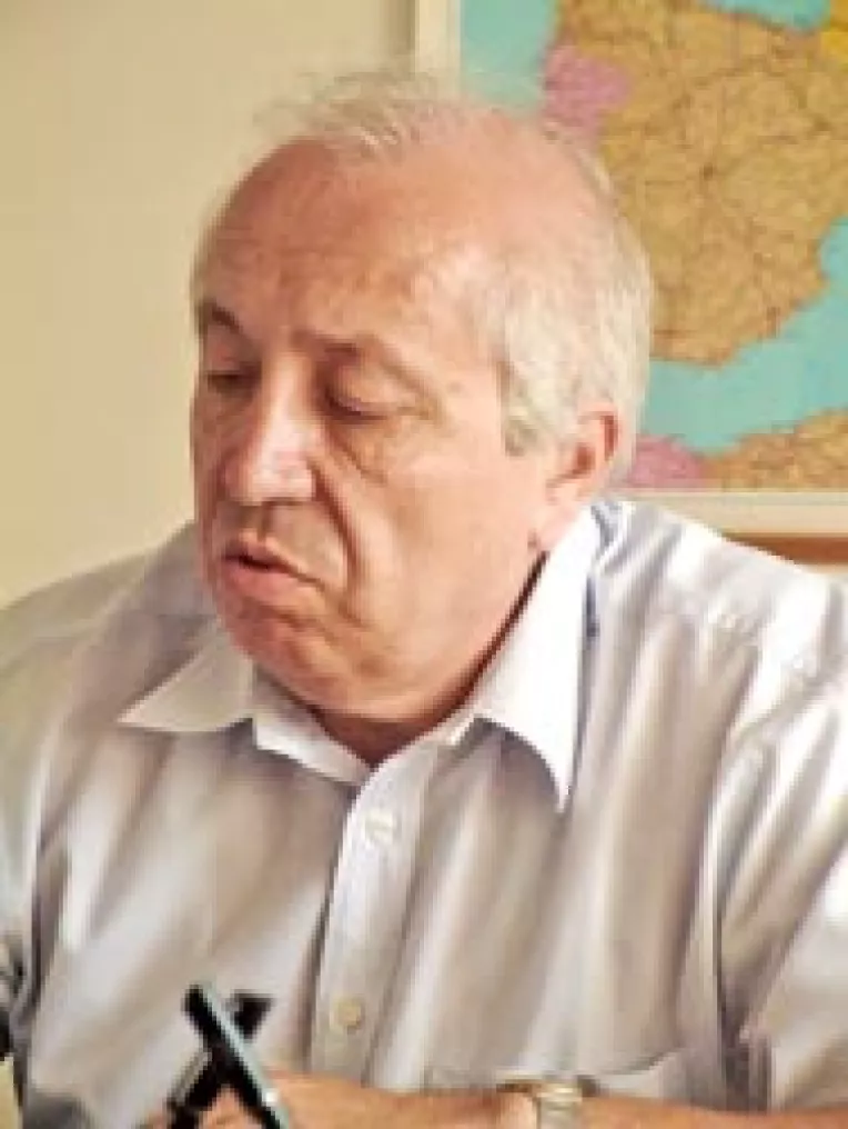 Previziuni despre viitorul pietei romanesti a automobilelor